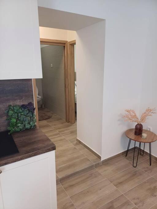 Central Vita Apartment リエカ エクステリア 写真